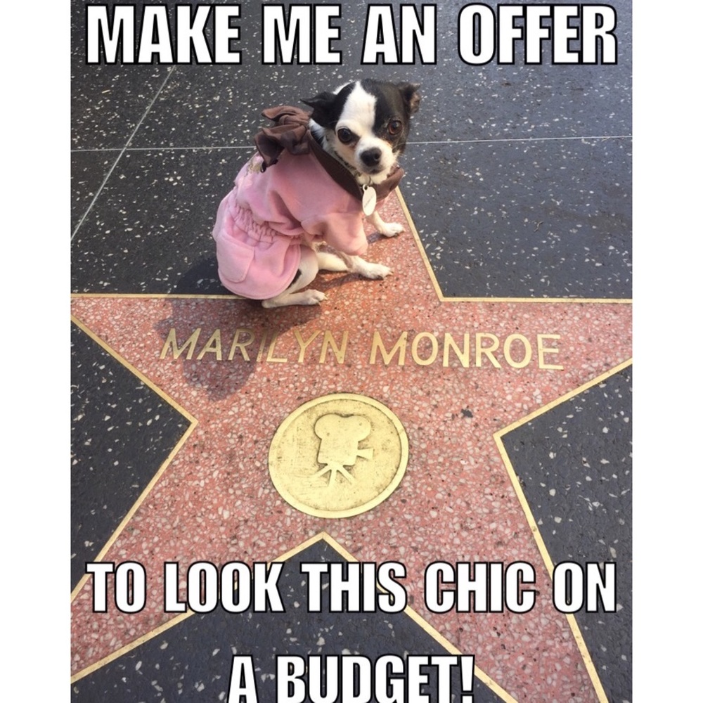 👛 👜 ♥️ MAKE ME AN OFFER! ♥️ 👛 👜